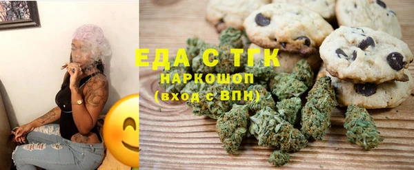 индика Абаза