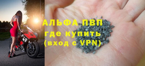 индика Абаза